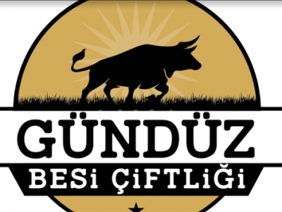 GÜNDÜZ TAVUKÇULUK / BESİCİLİK